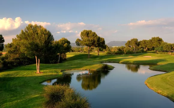 D81458ED-871A-4CCC-85C9-849DC6B678A3