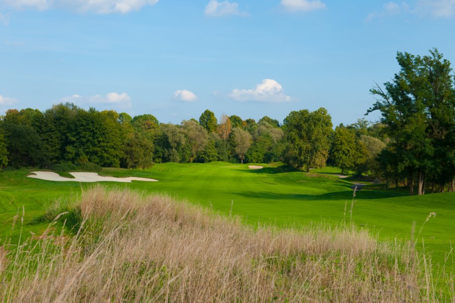 o_1aqp337u917su1nps1cg6anrmj79