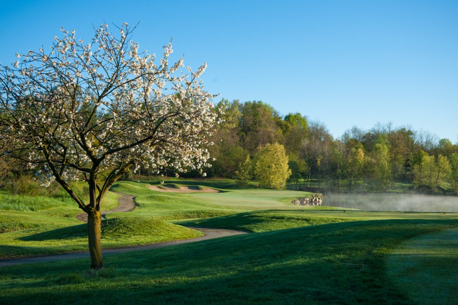 o_1aqp38s2onp1tes9qvb9q1dne1k